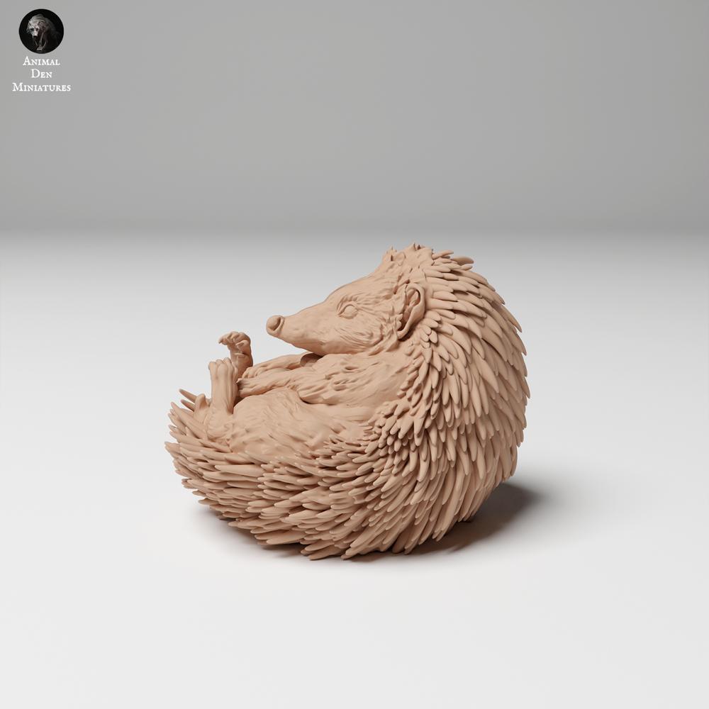 Photo du produit 0 : figurine animale sauvage : hérisson européen - roulé en boule (24_11_05)