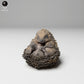 Photo du produit 1 : Figurine d’animal sauvage : hérisson européen - enroulé (24_11_05)