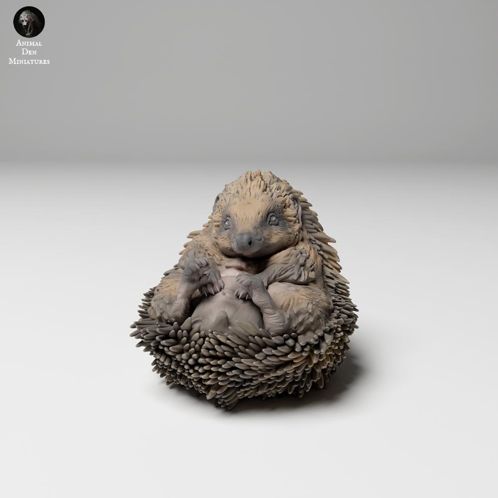 Photo du produit 1 : Figurine d’animal sauvage : hérisson européen - enroulé (24_11_05)