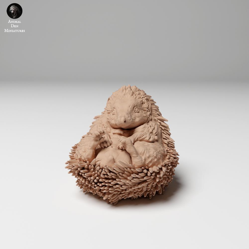Photo produit 3 : figurine d’animal sauvage : hérisson européen - roulé en boule (24_11_05)