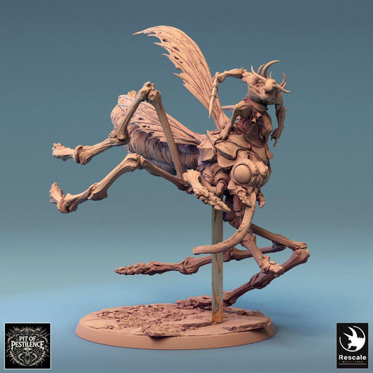 Photo de produit Tabletop 28mm Lord of the Print (LotP) 0 : Miniature Tabletop : Cavalier démon sur bête insecte monstrueuse - Cavalier insecte, Cavalier moustique, Cavalerie cauchemar, Boss monstre - E1 Dravon Assault (24_08_E1)