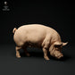 Photo de produit Figurine animale Diorama, modélisme : 0 : Figurines d'animaux de ferme : Cochon en train de brouter - Cochon Berkshire