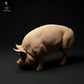 Photo de produit Figurine animale Diorama, modélisme : 0 : Figurines d'animaux de ferme : Cochon en train de brouter - Cochon Berkshire