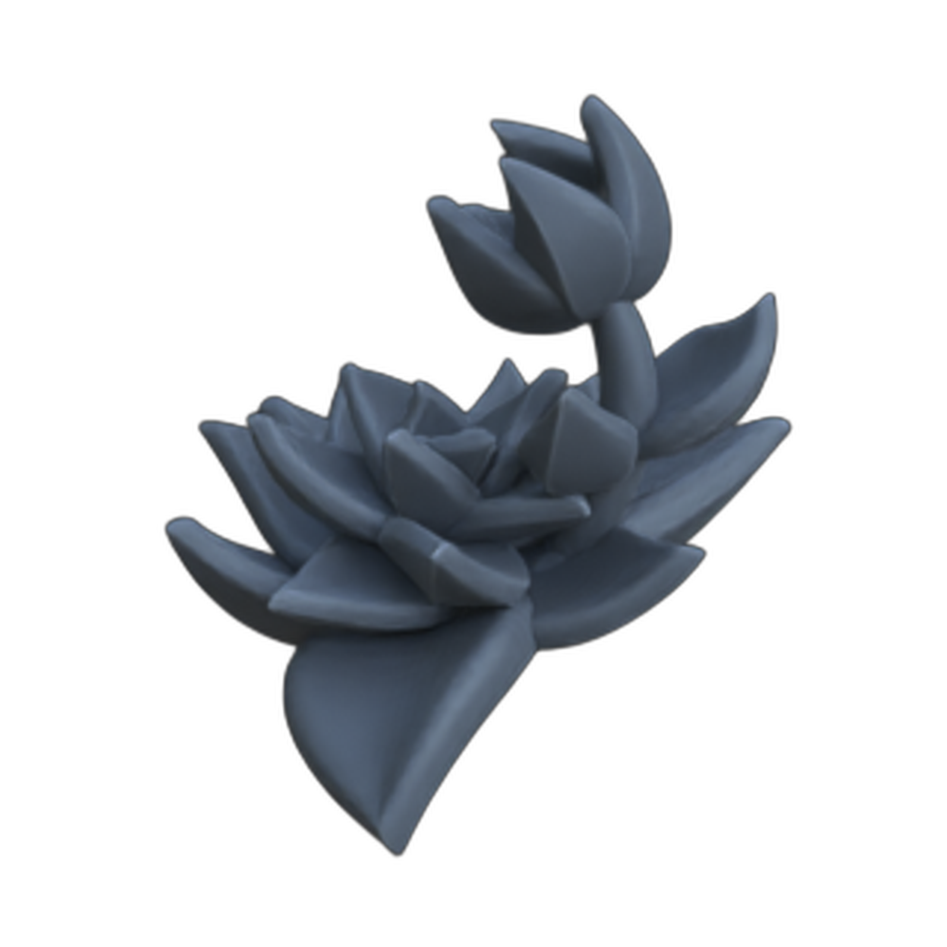 Photo de produit diorama et décoration de modélisme, accessoires : 0 : Plantes et végétaux : Succulentes