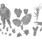 Photo de produit diorama et décoration de modélisme, accessoires : 0 : Plantes et végétaux : Succulentes