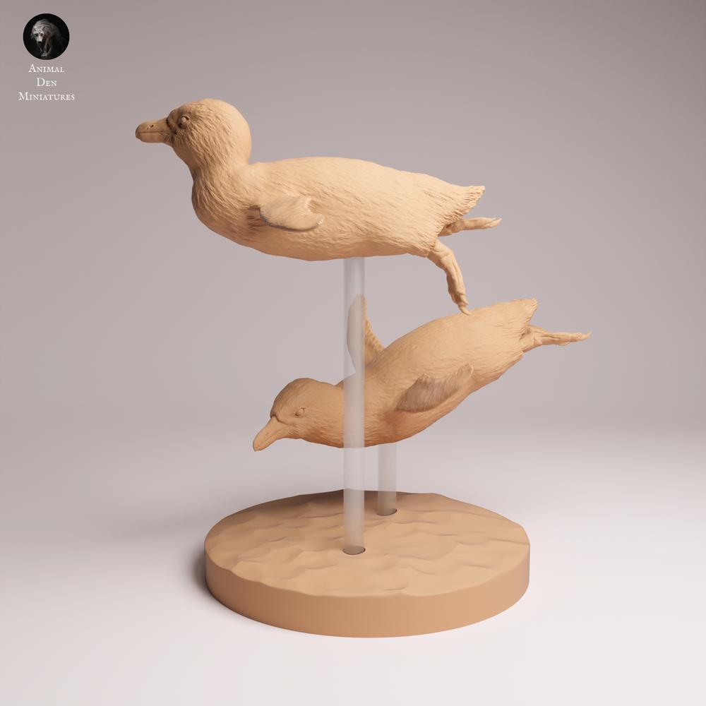 Photo produit Tabletop 28mm Lord of the Print (LotP) 1: Figurine animale : Pingouin à lunettes - nageant (26_02_04)