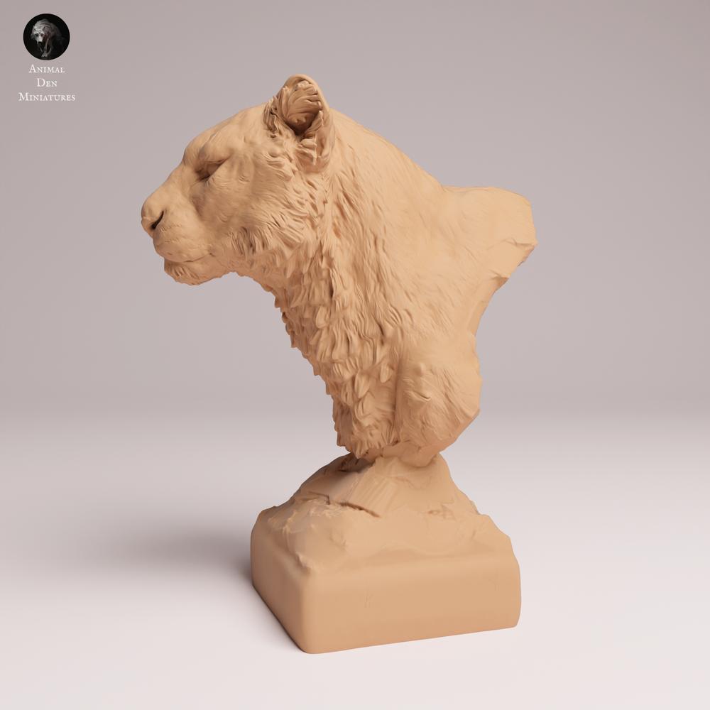Photo produit figurine animale Animal Den Miniatures 1 : figurine animale sauvage : léopard de l’Amour - buste (25_07_20)