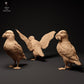 Produktfoto Tierfigur Animal Den Miniatures 1: Meeresvogel Tierfigur: Atlantische Papageitaucher (24_01_59)
