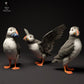 Produktfoto Tierfigur Animal Den Miniatures 2: Meeresvogel Tierfigur: Atlantische Papageitaucher (24_01_59)