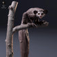 Photo du modèle animal Animal Den Miniatures 6 : figurine animalière : aye-aye assis dans un arbre (26_10_05)