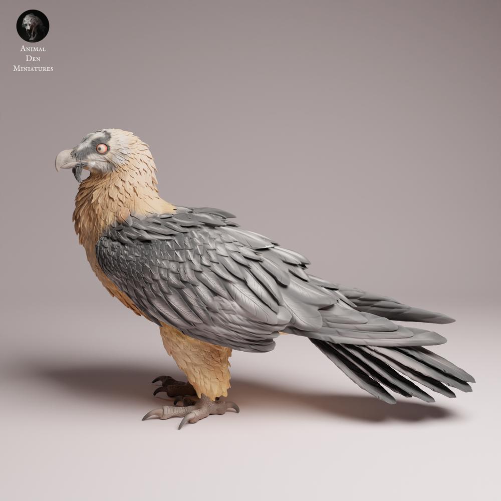Produktfoto Tabletop 28mm Lord of the Print (LotP) 3: Vogel Tierfigur: Bartgeier (26_06_02)