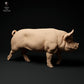 Photo produit figurine animale Animal Den Miniatures 1 : figurine animale de ferme : verrat Berkshire - marchant (24_01_63)