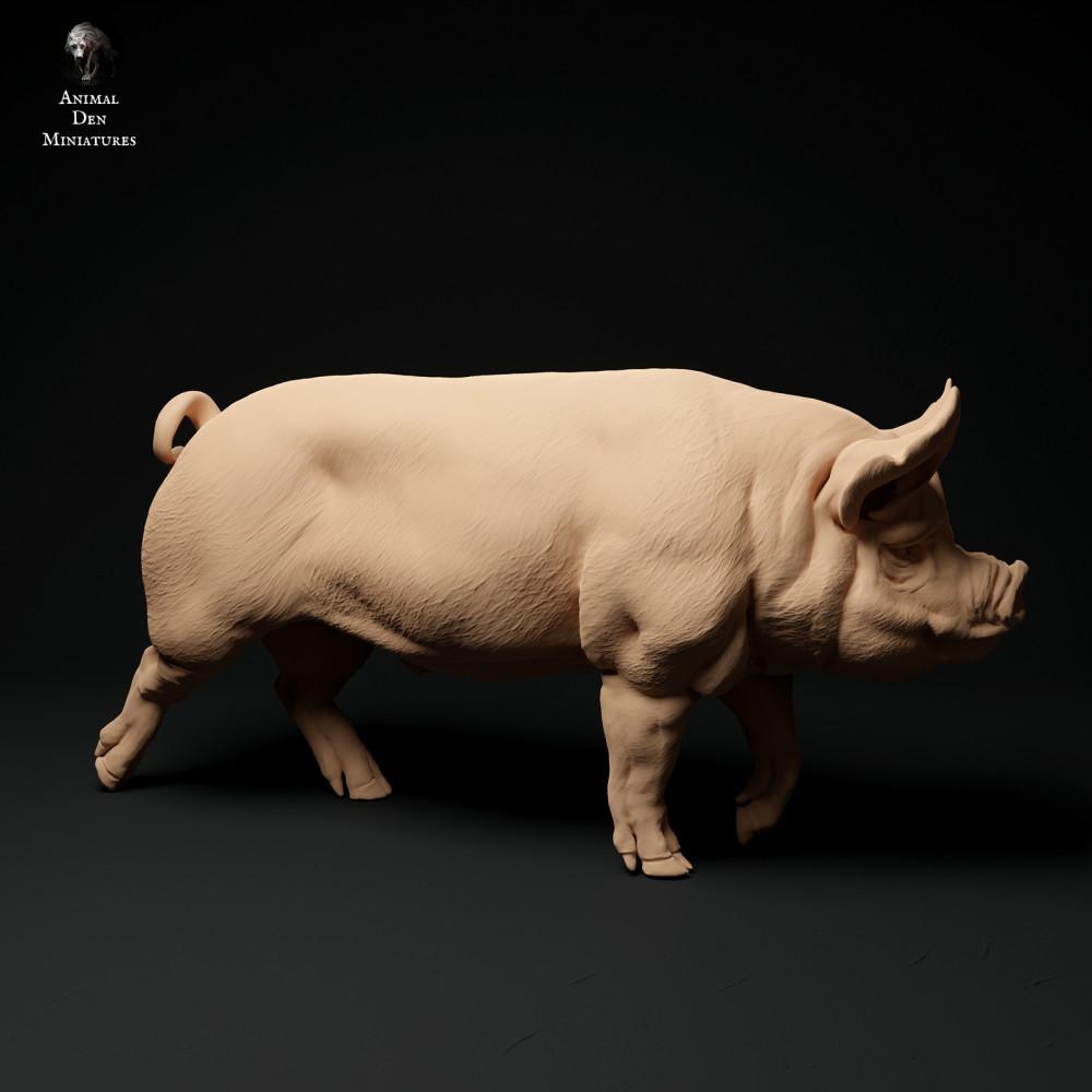 Photo produit figurine animale Animal Den Miniatures 1 : figurine animale de ferme : verrat Berkshire - marchant (24_01_63)