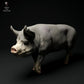Photo du produit, figurine animale Animal Den Miniatures 2 : figurine d'animal de ferme : verrat Berkshire - en marche (24_01_63)