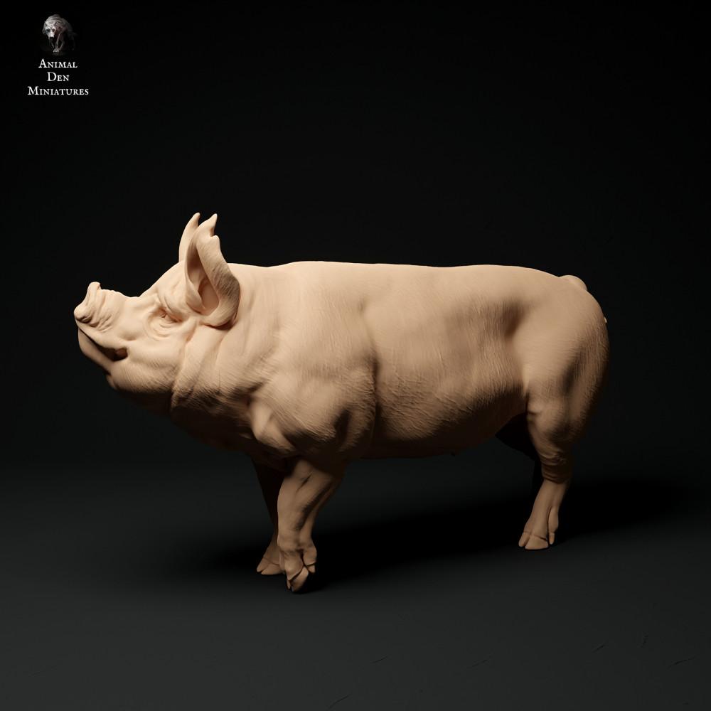 Photo produit figurine animale Animal Den Miniatures 1 : figurine animale de ferme : verrat Berkshire (24_01_64)