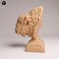Photo produit 0 : figurine d’animal sauvage : bison américain - buste (25_09_06)
