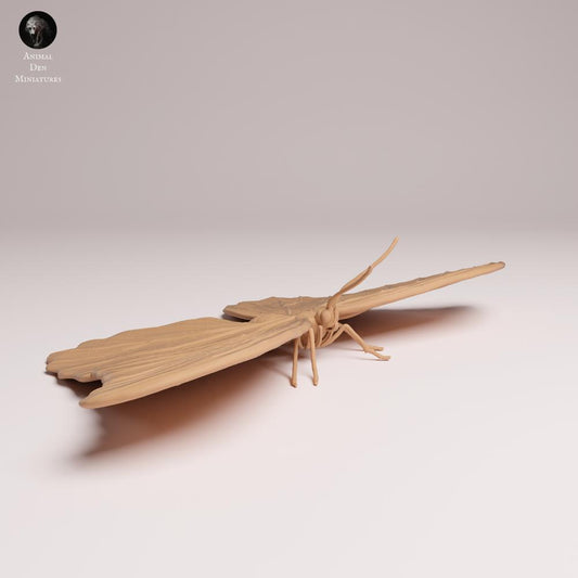 Photo de produit Tabletop 28mm Lord of the Print (LotP) 0 : Figurine d'insecte : Morpho bleu - ailes déployées