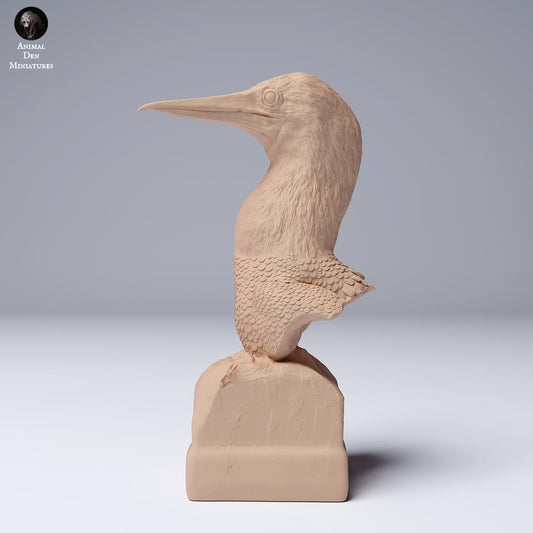 Photo produit 0 : figurine animale d’oiseau marin : fou à pieds bleus - buste (24_08_02)