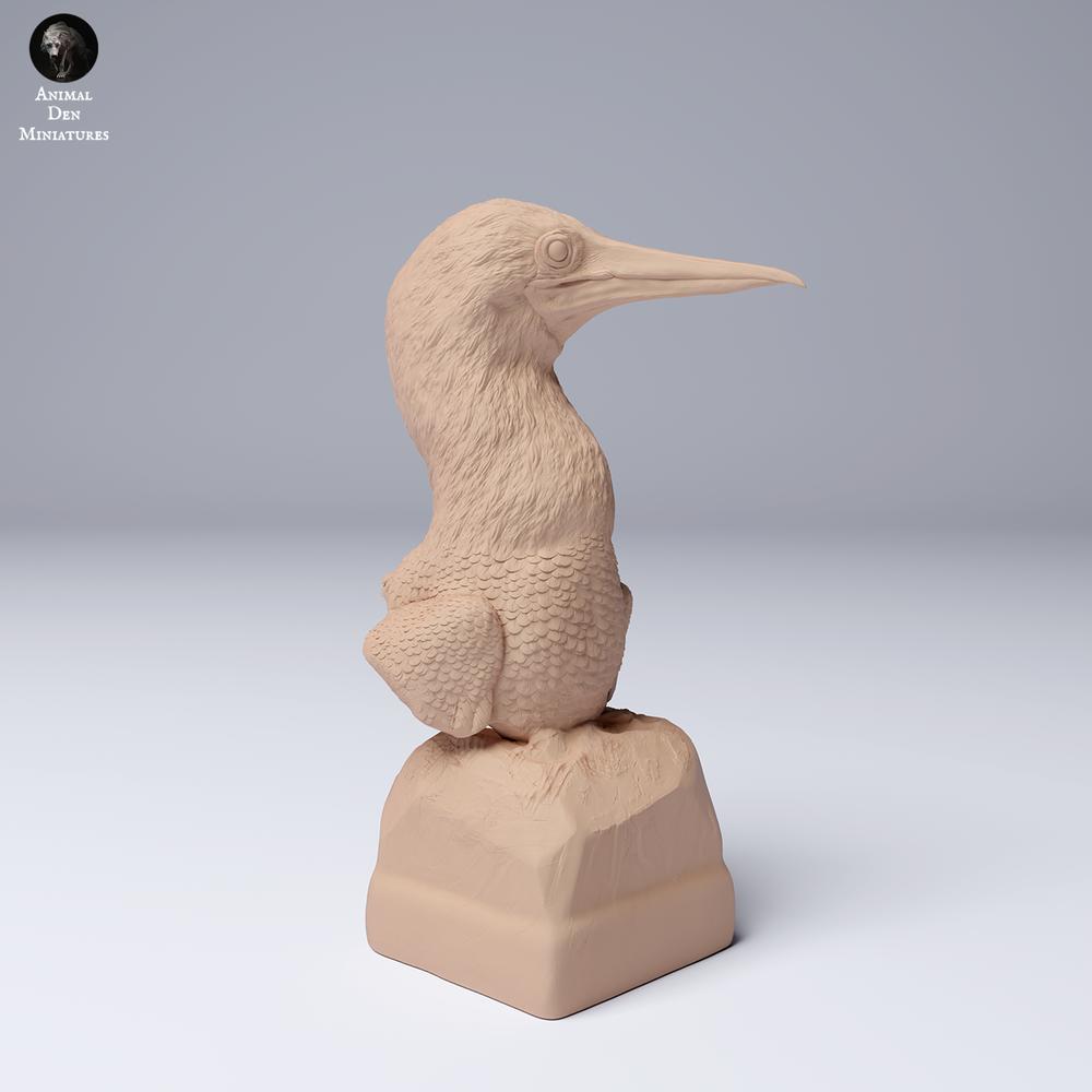 Photo produit 2 : Figurine d’animal oiseau marin : Fou à pieds bleus - Buste (24_08_02)