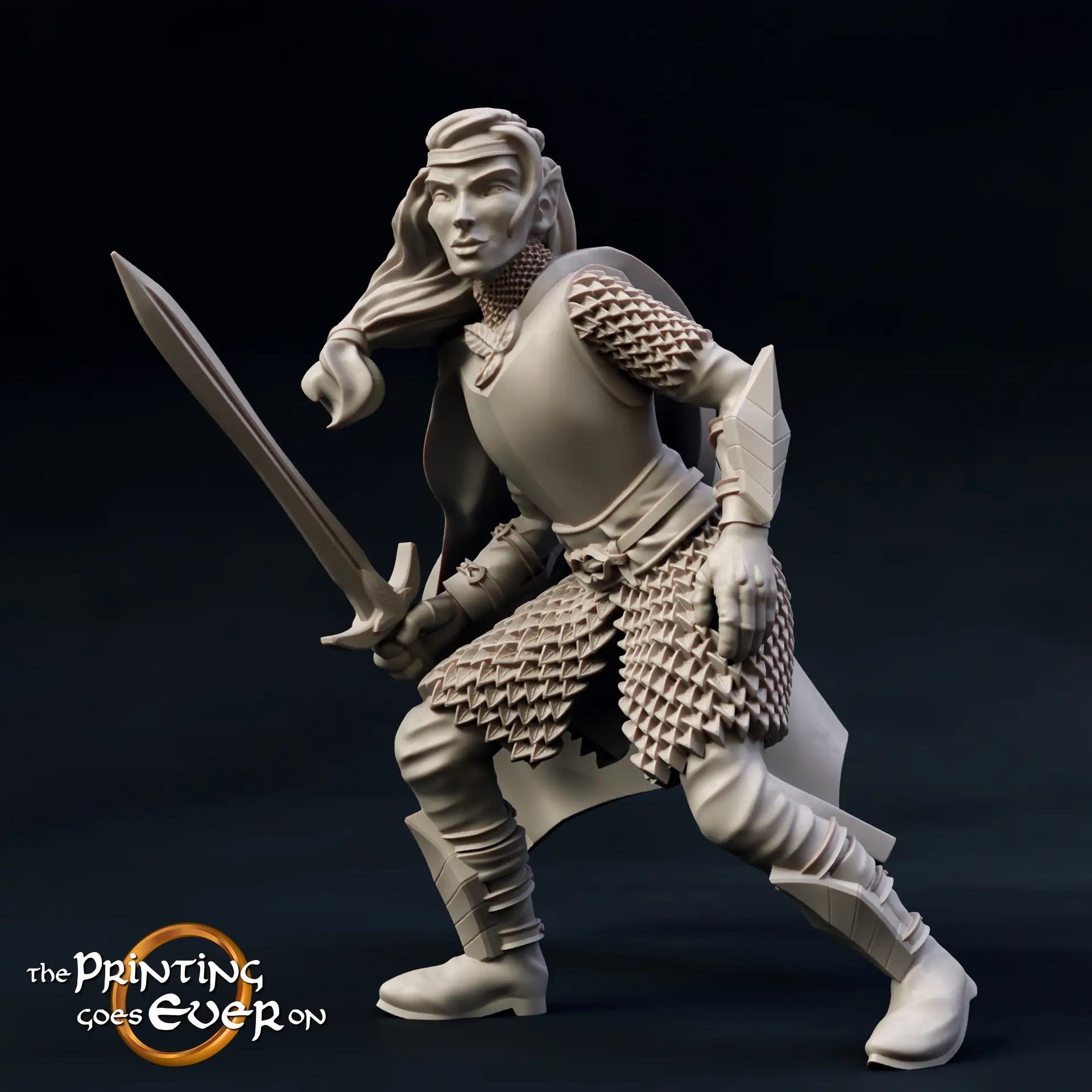 Photo de produit Tabletop 28mm The Printing Goes Ever On (TPGEO) 0 : Elfes des forêts : Courageux guerriers avec lance, épée et arc