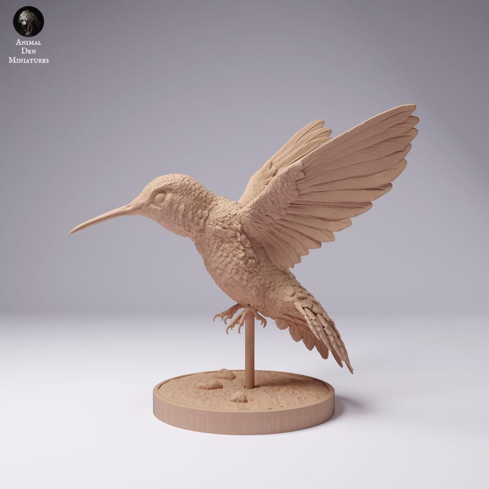 Photo produit 0 : figurine d’animal oiseau : colibri à queue large (25_01_08)