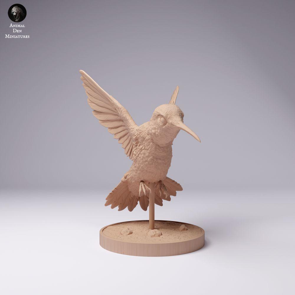 Photo produit 1 : figurine animale oiseau : colibri à queue large (25_01_08)