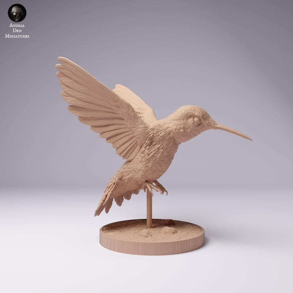 Photo produit 2 : figurine d’oiseau : colibri à queue large (25_01_08)