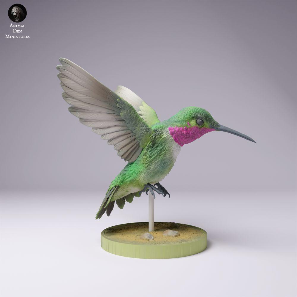 Photo produit 3 : figurine animale d’oiseau : colibri à queue large (25_01_08)