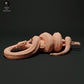 Photo de produit figurine animale Animal Den Miniatures 0 : figurine animale reptile : python tigre foncé - dévore un muntjac (23_05_11)