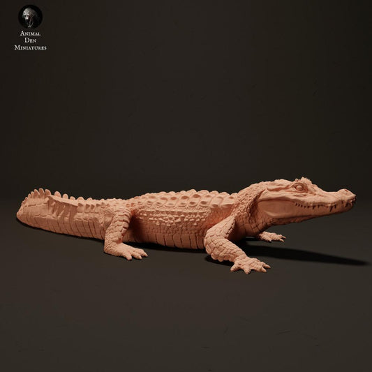 Photo produit figurine animale Animal Den Miniatures 0 : Figurine reptile : caïman noir en train de se prélasser au soleil (23_06_07)