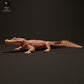Photo de produit figurine animale Animal Den Miniatures 1 : figurine de reptile : caïman noir en train de se prélasser au soleil (23_06_07)