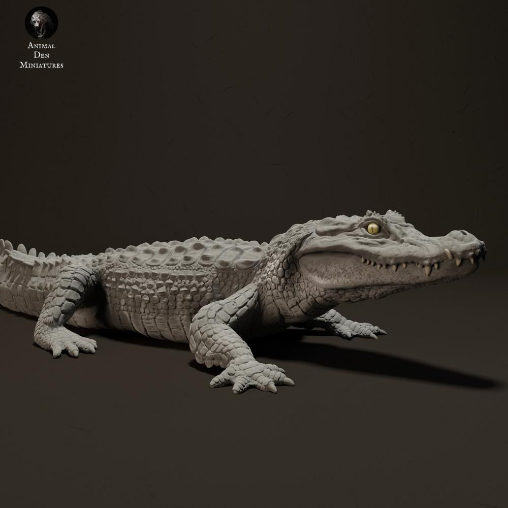 Photo produit figurine animale Animal Den Miniatures 2 : figurine reptile : caïman noir - en train de prendre le soleil (23_06_07)