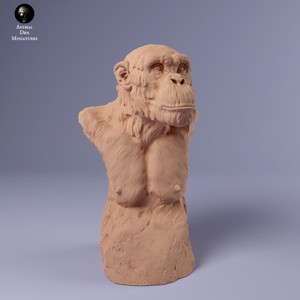 Photo de produit figurine animale Animal Den Miniatures 1 : figurine animale de la jungle : Chimpanzé commun - buste (24_02_17)