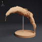 Photo de produit figurine animale Animal Den Miniatures 1 : figurine d’animal marin : calmar colossal combattant un cachalot (25_04_09)