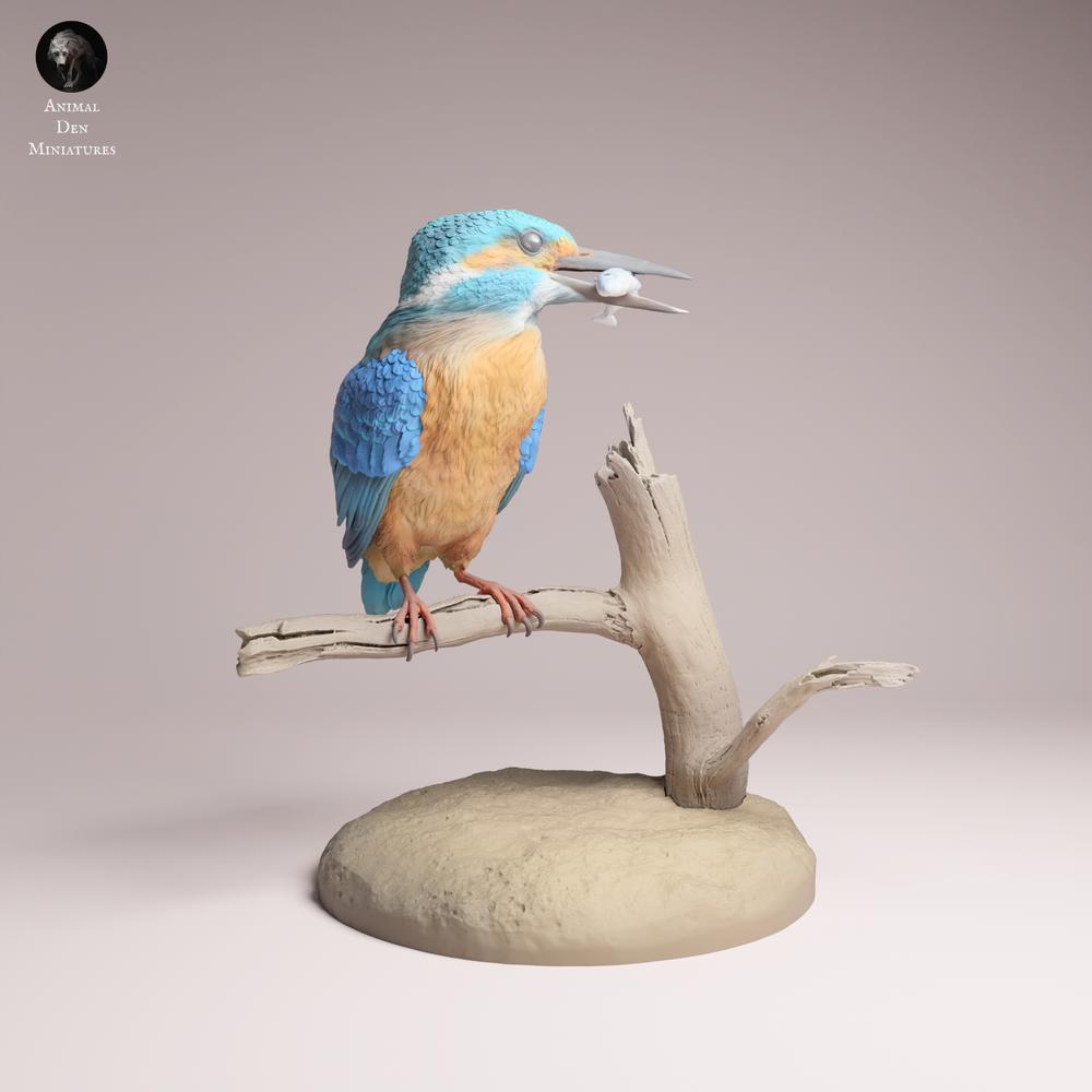 Produktfoto Tabletop 28mm Lord of the Print (LotP) 7: Vogel Tierfigur: Eisvogel - 2 Varianten (26_06_05)