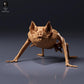 Photo du produit figurine animale Animal Den Miniatures 6 : figurine de chauve-souris : vampire commun accroupi (26_10_04)