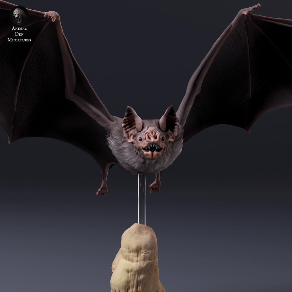 Photo du modèle animalier Animal Den Miniatures 6 : Modèle de chauve-souris : vampire commun en vol (26_10_03)