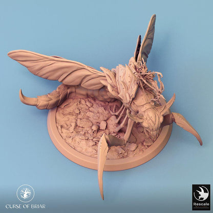Photo de produit Tabletop 28mm Lord of the Print (LotP) 0 : Miniature Tabletop : Cavalier insecte sur mante géante, archer, cavalerie monstrueuse, bête de nuée (24_07_E5)