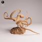Photo du produit 1 : figurine animale marine : pieuvre diurne - nageant (25_10_06)