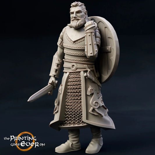 Photo du produit figurine historique médiévale échelle 75mm The Printing Goes Ever On (TPGEO) 0 : Figurines médiévales Chevalier Gardien B - modèles 75mm - Famille Royale