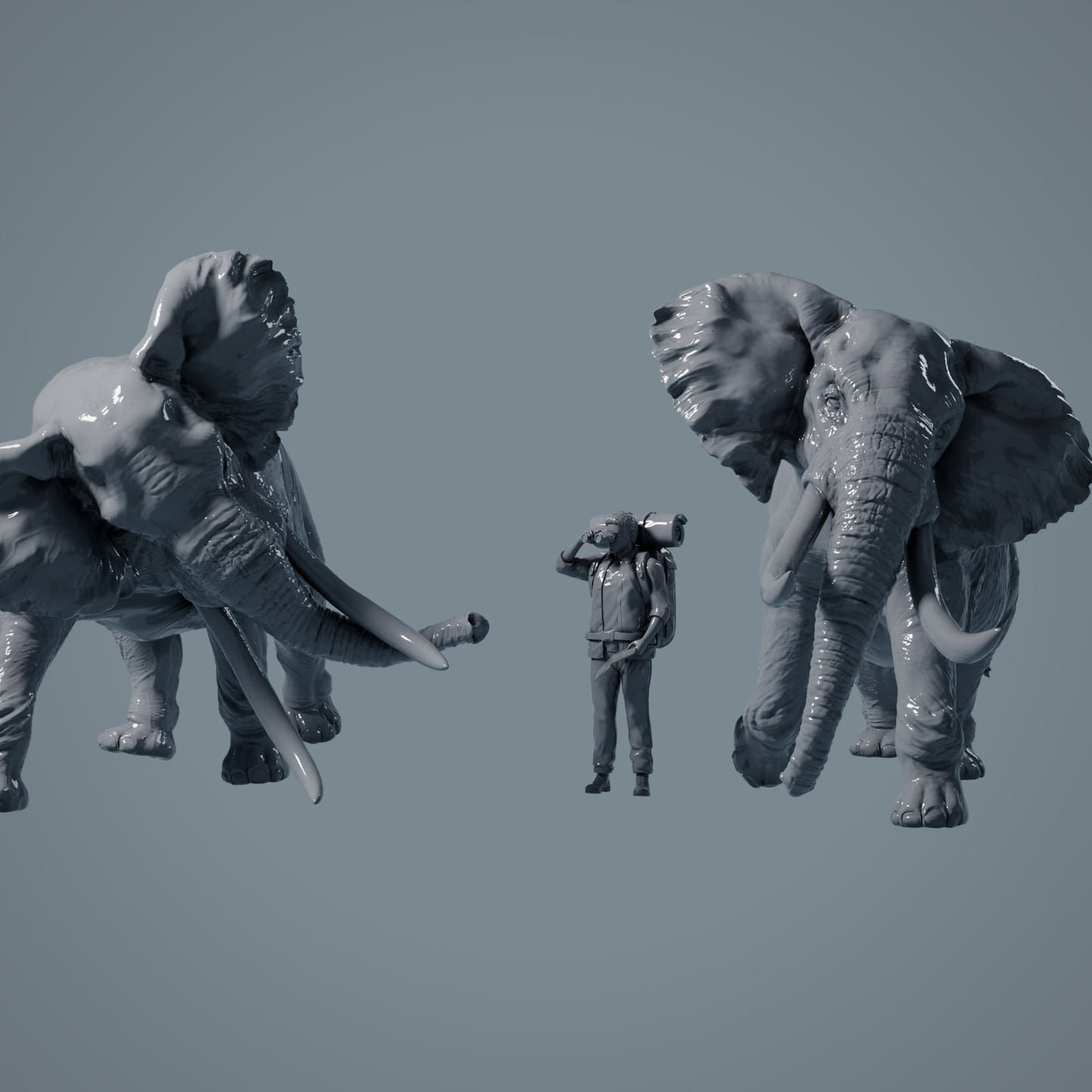 Éléphants d'Afrique mâles en train de se battre - Animaux de la savanne (23_02_02)