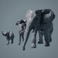 Vache et veau d'éléphant africain - Animaux de la savane (23_02_04)