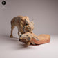 Photo du produit Tabletop 28mm Lord of the Print (LotP) 3 : figurine d’animal sauvage : lynx eurasien avec proie (26_07_03)