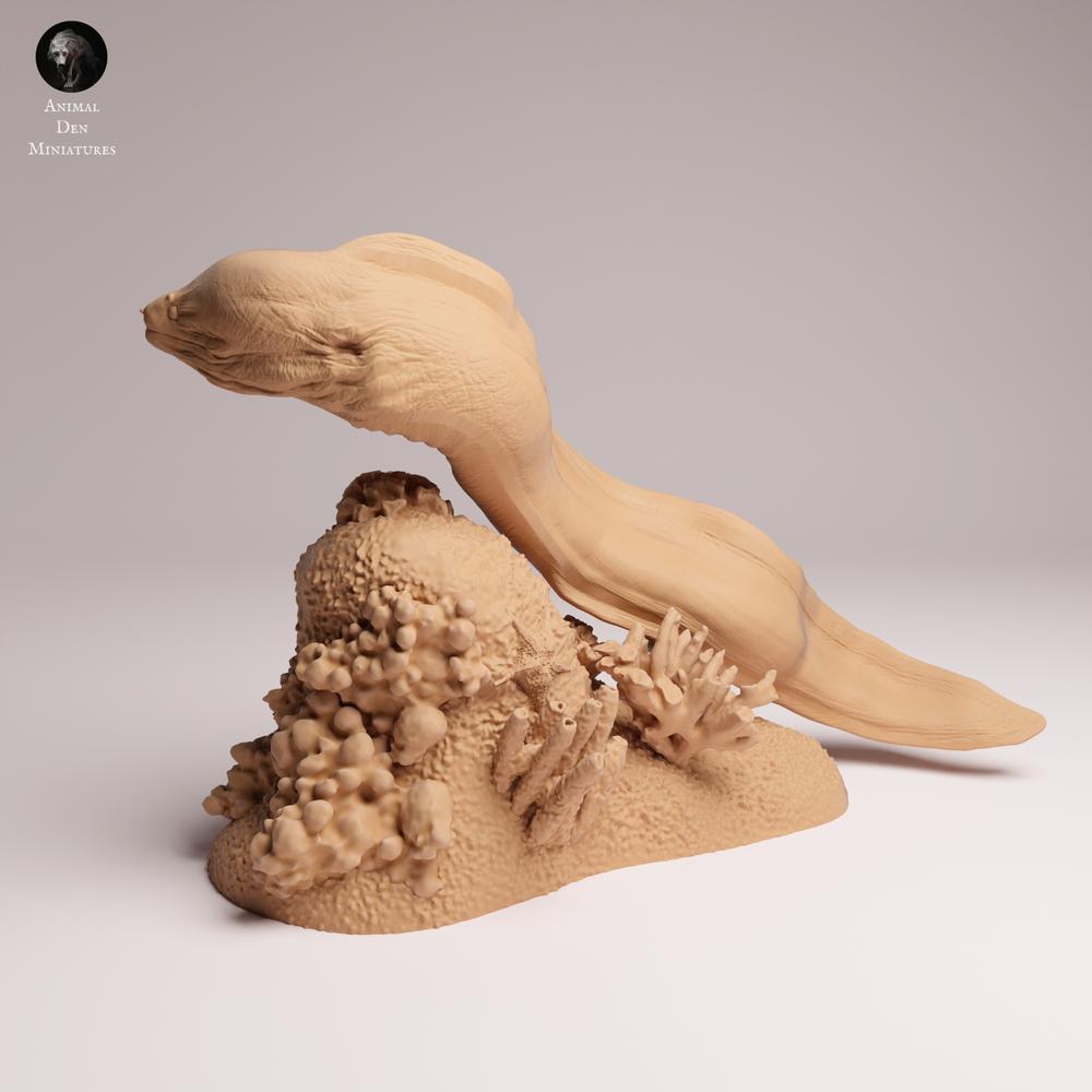 Photo du produit 0 : figurine d’animal marin : murène géante - nageant (25_10_04)