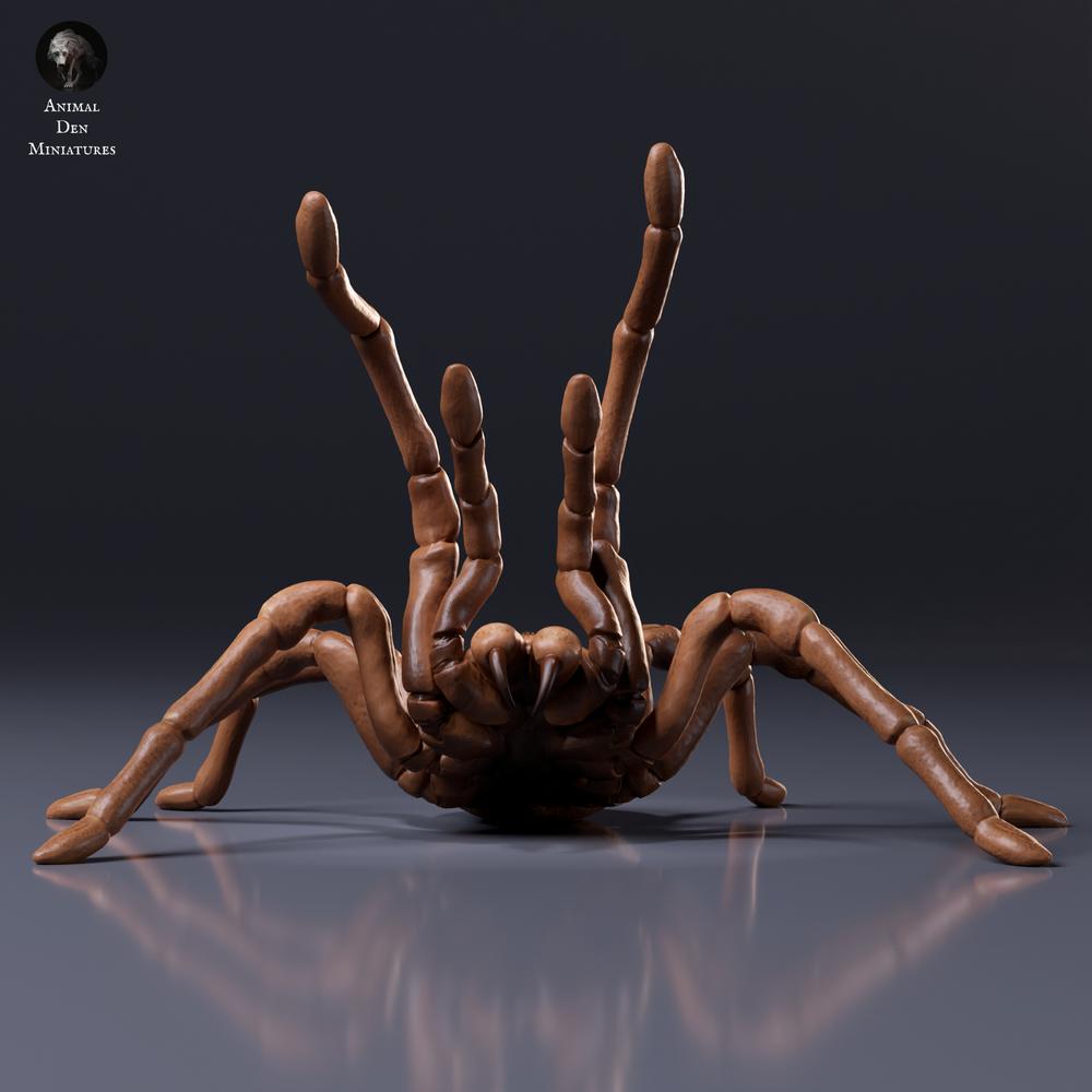 Photo du produit, figurine animalière Animal Den Miniatures 6 : araignée : mygale de Goliath - posture menaçante (26_10_02)