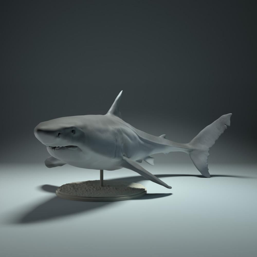 Photo produit figurine animale Animal Den Miniatures 0 : figurine animale marine : requin blanc (22_09_02)