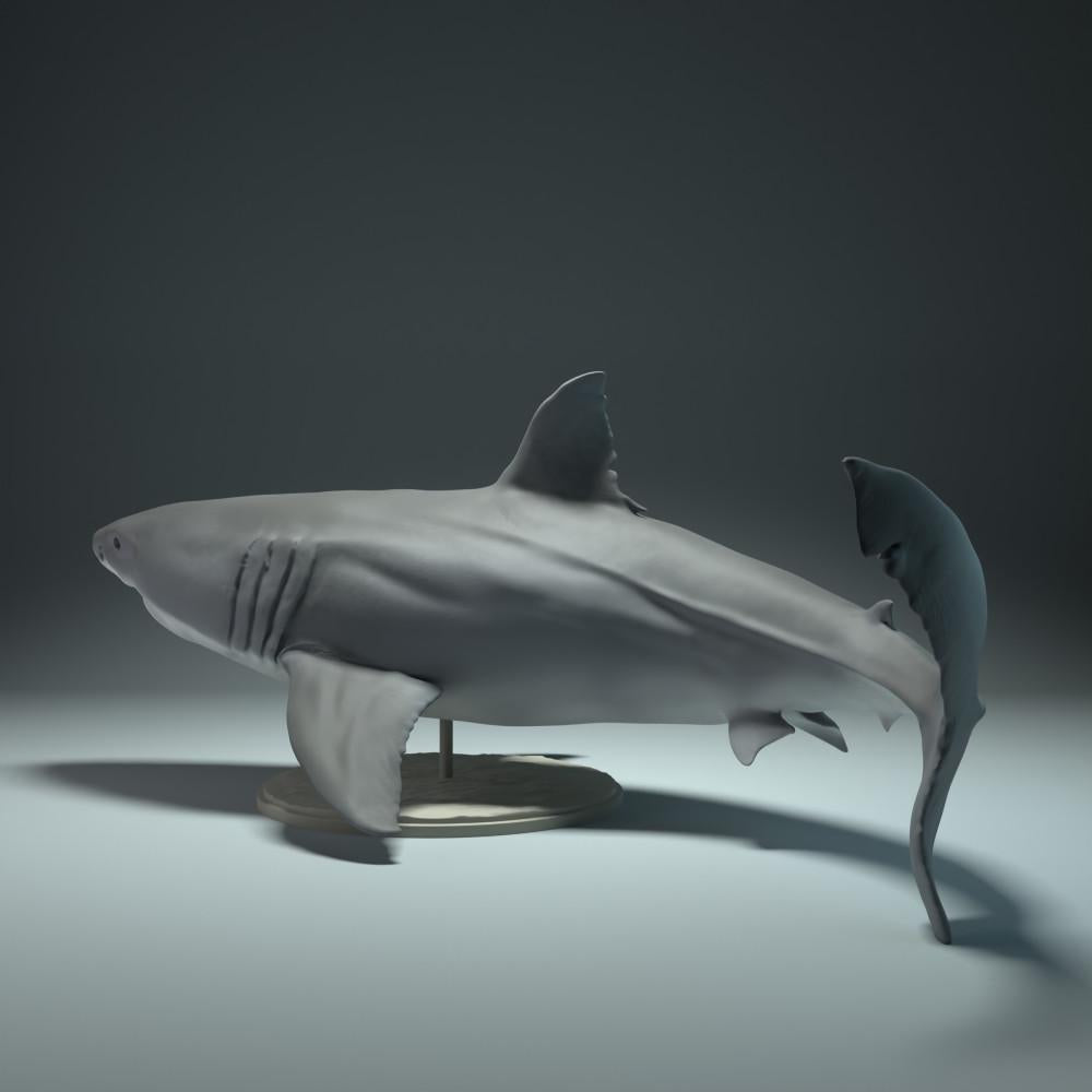 Photo du produit, figurine animale Animal Den Miniatures 1 : figurine d’animal marin : requin blanc (22_09_02)