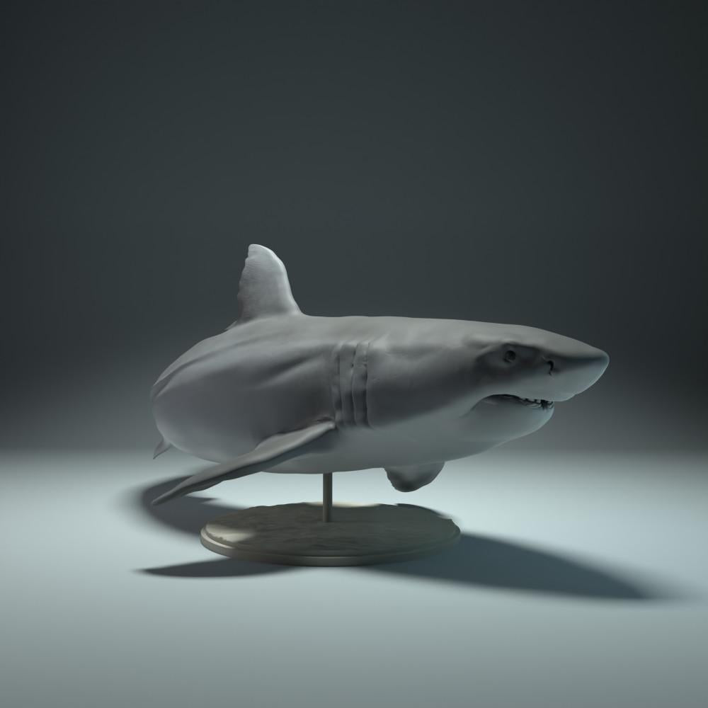 Photo produit figurine animale Animal Den Miniatures 3 : animal marin : requin blanc (22_09_02)