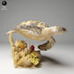 Photo de produit figurine animale Animal Den Miniatures 2 : figurine d’animal marin : véritable tortue imbriquée - nageant (24_05_03)