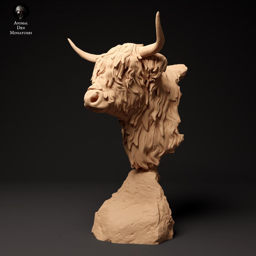 Photo produit figurine animale Animal Den Miniatures 0 : figurine animale de ferme : vache Highland écossaise - buste (24_01_60)